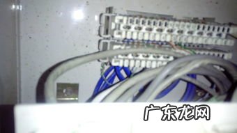 上海电信搬家网线迁移费多少 联通搬家网线迁移费多少钱