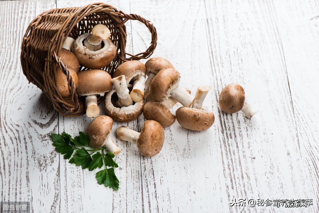 月经来了怎么吃比较好 月经期间吃什么比较好