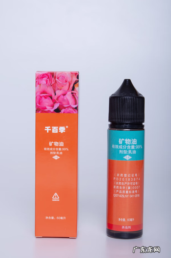 老人死在家里风水好吗 家中老人身体不好风水上放什么