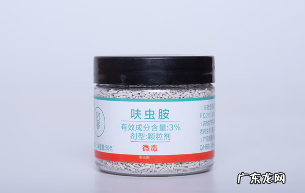 老人死在家里风水好吗 家中老人身体不好风水上放什么