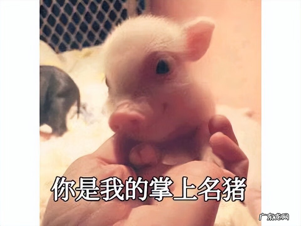 为什么英雄联盟更新不了 英雄联盟更新不动是什么原因