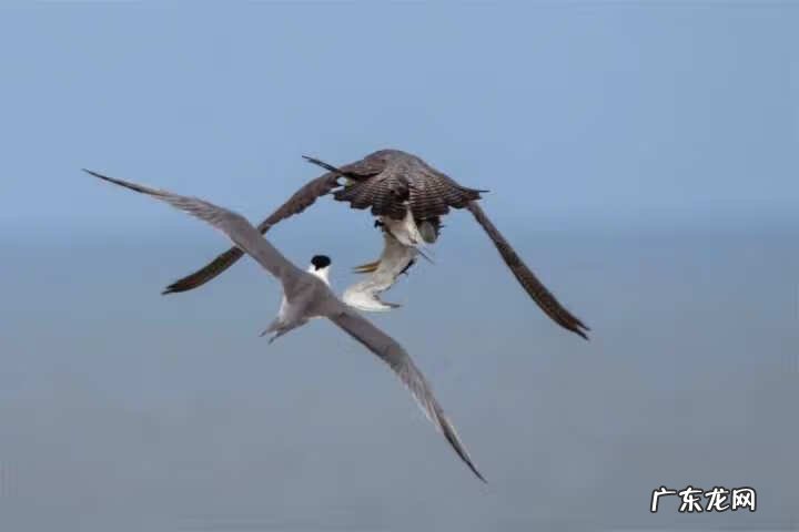 2013浙江理科状元周晨 2013浙江理科状元