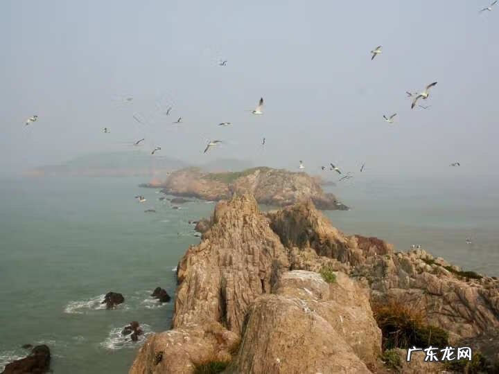 2013浙江理科状元周晨 2013浙江理科状元