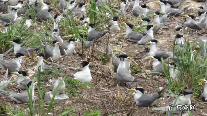 2013浙江理科状元周晨 2013浙江理科状元