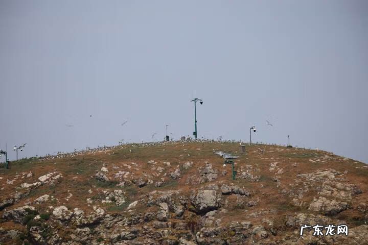 2013浙江理科状元周晨 2013浙江理科状元