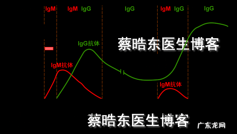 巨细胞病毒抗体阳性是什么意思 风疹病毒抗体阳性是什么意思