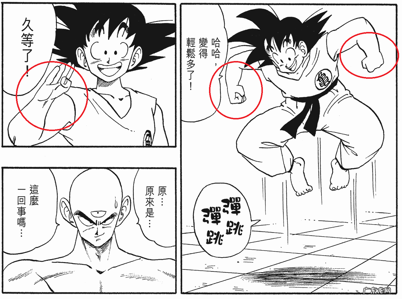 风水中龙珠裂开了