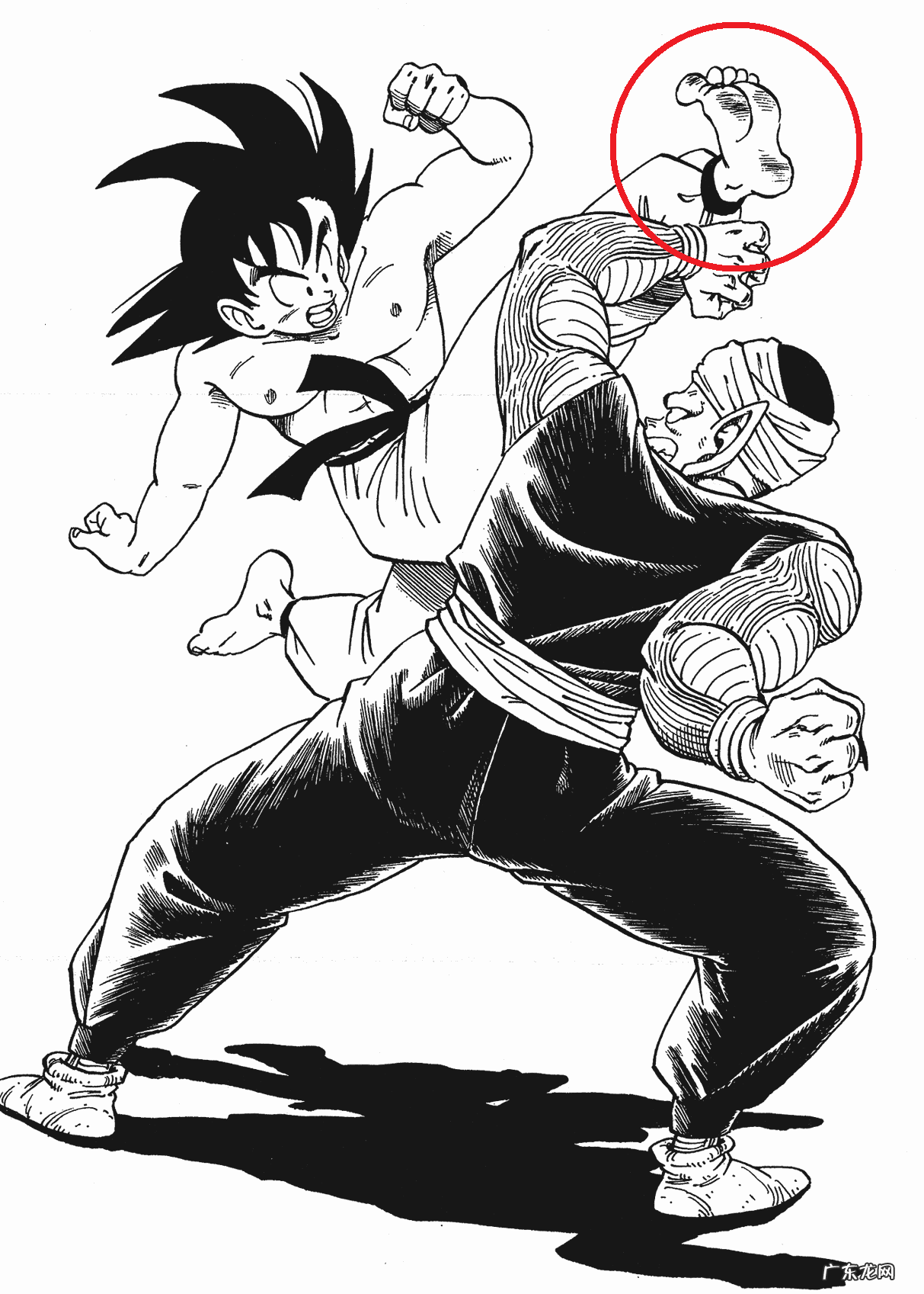 风水中龙珠裂开了