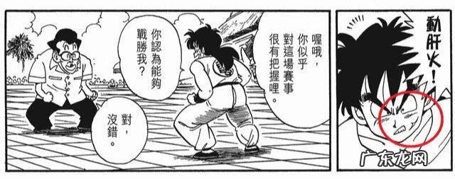 风水中龙珠裂开了