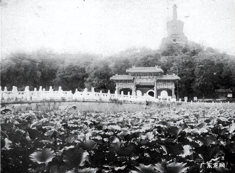 凤凰街印风水特征