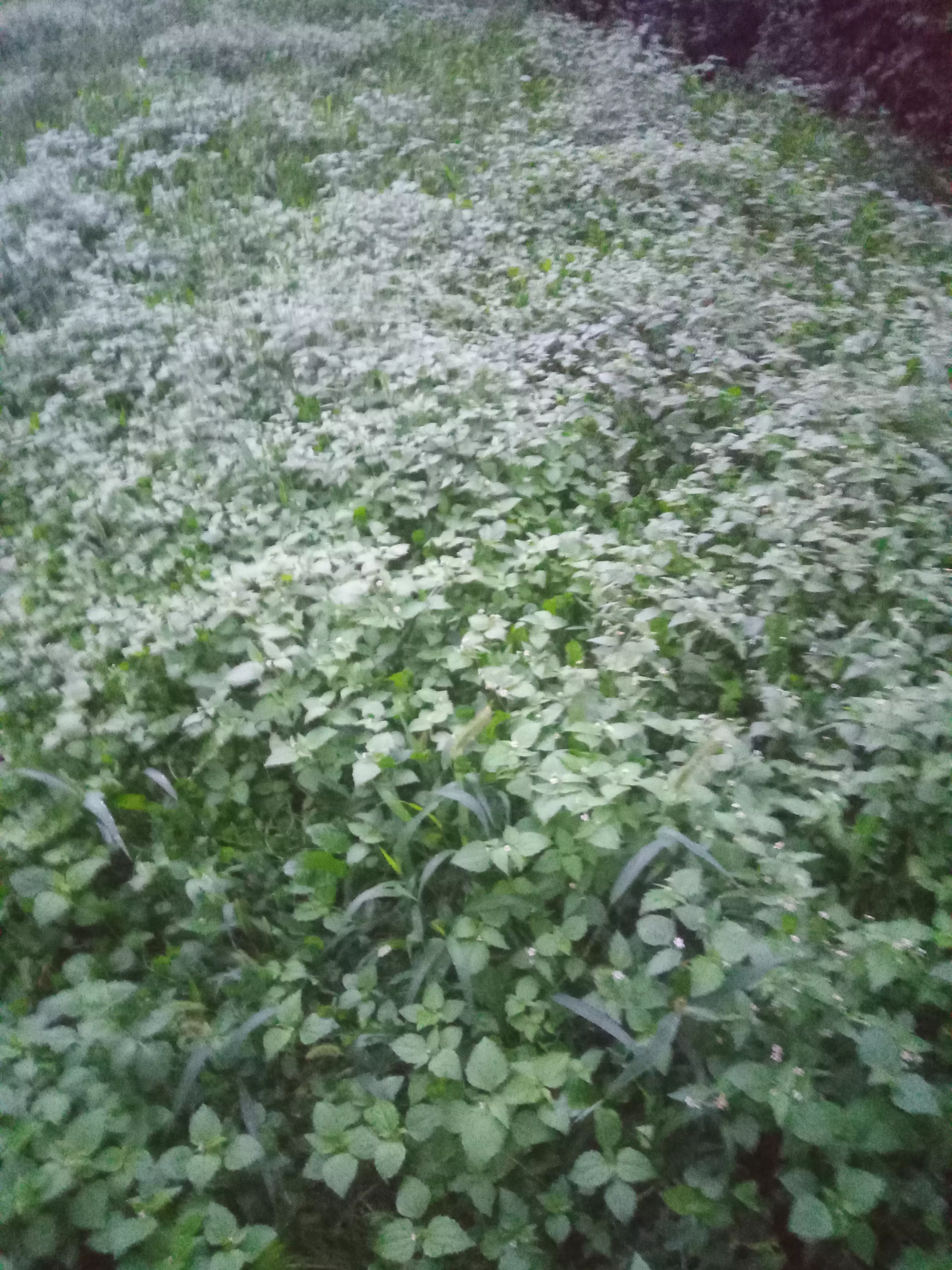 你在坐公交车的时候发生过什么样的尴尬事？