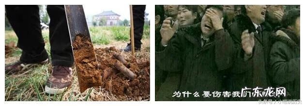 胡八一的分金定位从哪里学的 分金定穴风水口诀胡八一