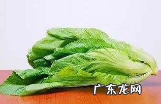 小白菜菜的功效与作用禁忌 小白菜的功效与作用以及营养价值及禁忌