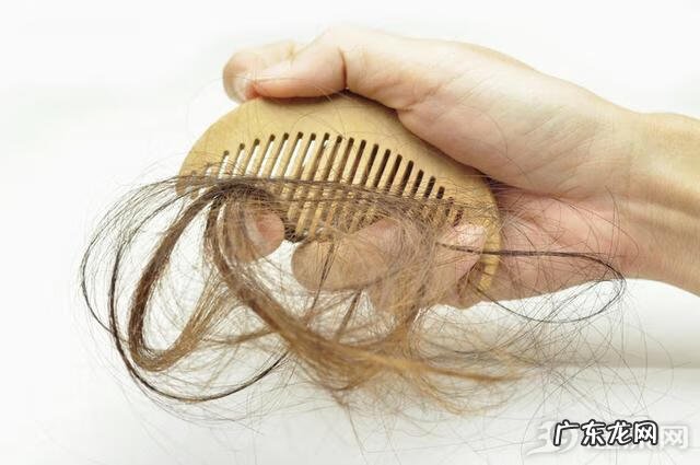 头发掉的特别厉害怎么办 天天头发掉的厉害是怎么回事
