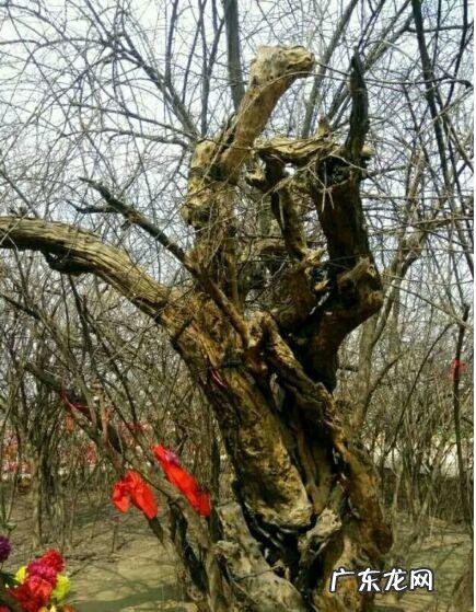 宿迁起名风水师 宿迁市区哪里有教风水的地方