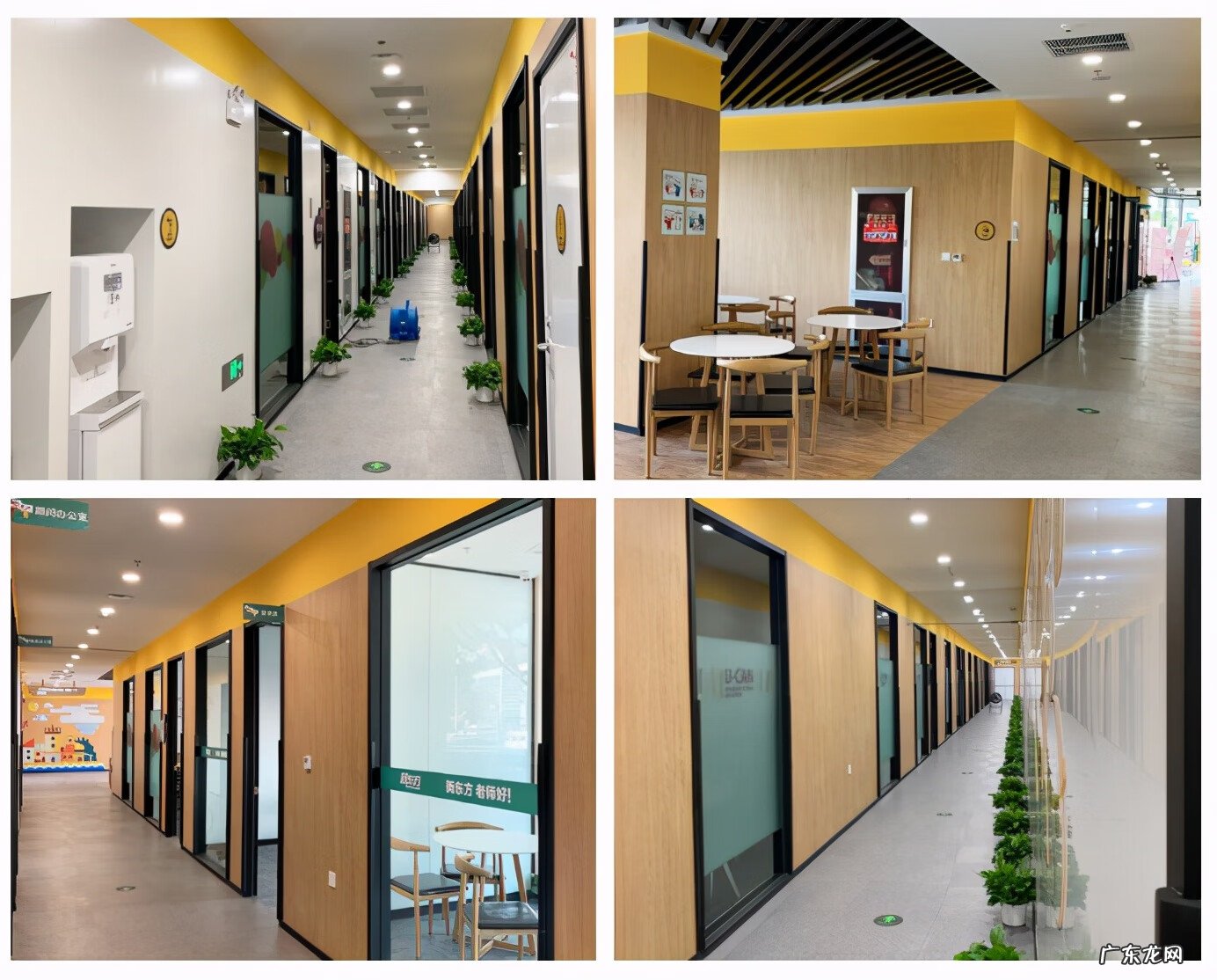 无锡新东方 无锡新东方官网首页