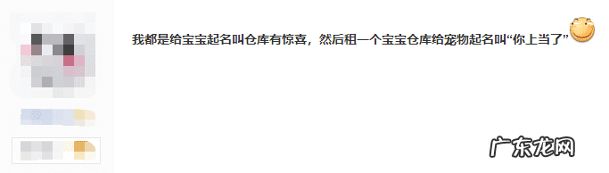 梦幻西游宠物推荐 梦幻宠物