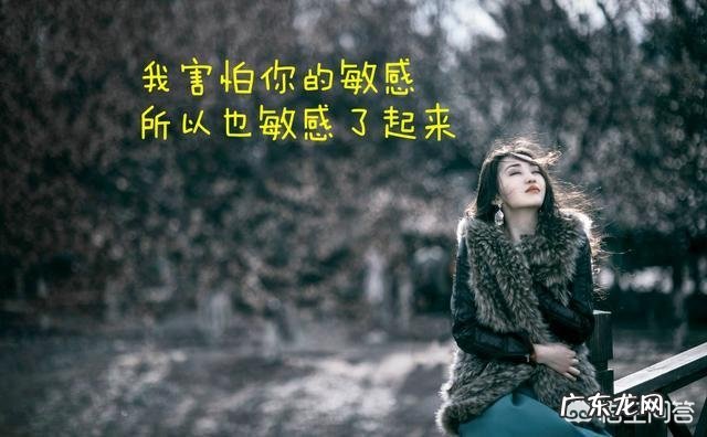 十首现代诗加赏析?