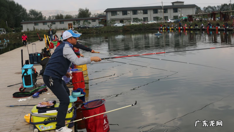 钓鲤鱼诱饵 钓鱼诱饵可以喂鱼吗