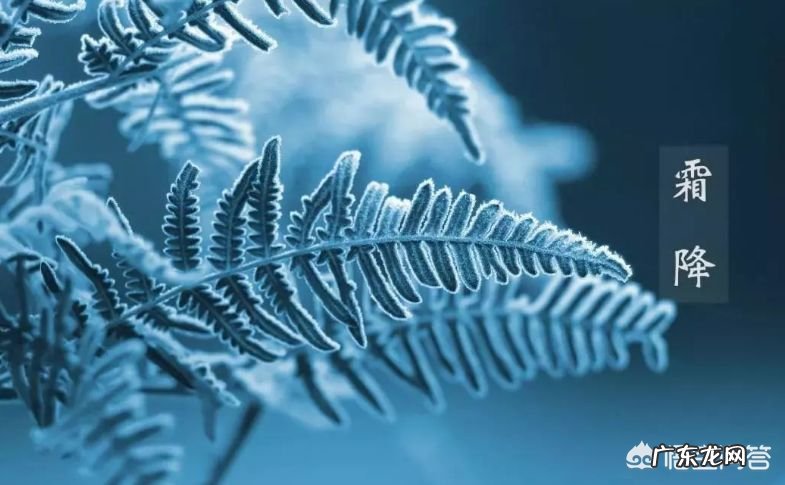 10月24日,就是“霜降”节气了,饮食上吃点啥好?又该如何养生,健康过冬?