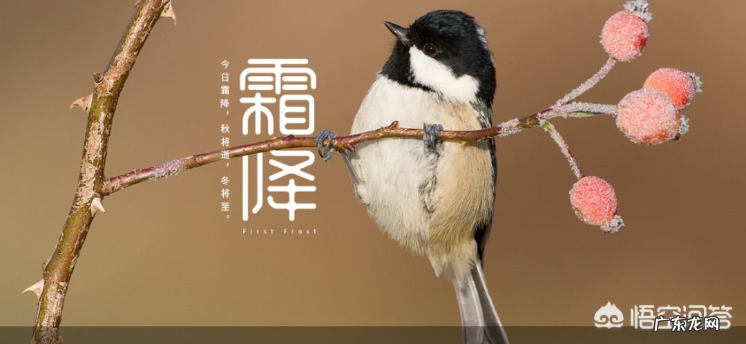 10月24日,就是“霜降”节气了,饮食上吃点啥好?又该如何养生,健康过冬?