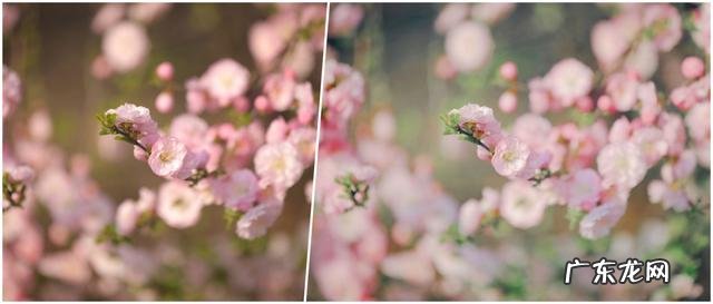 怎么把照片变成油画效果 照片怎么能调成油画的效果