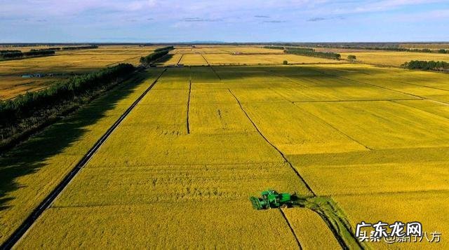 佳木斯大学外界认可吗 佳木斯大学怎么样?