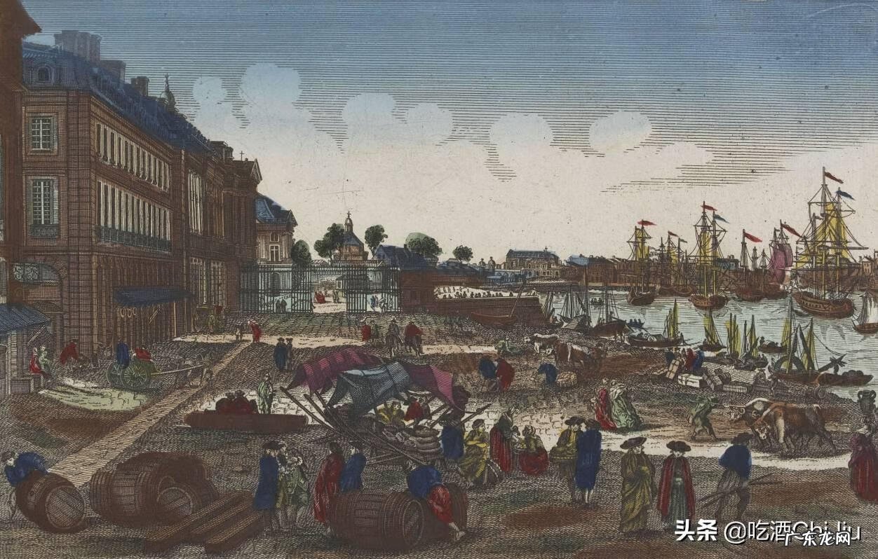 波尔多干红葡萄酒2019 波尔多干红