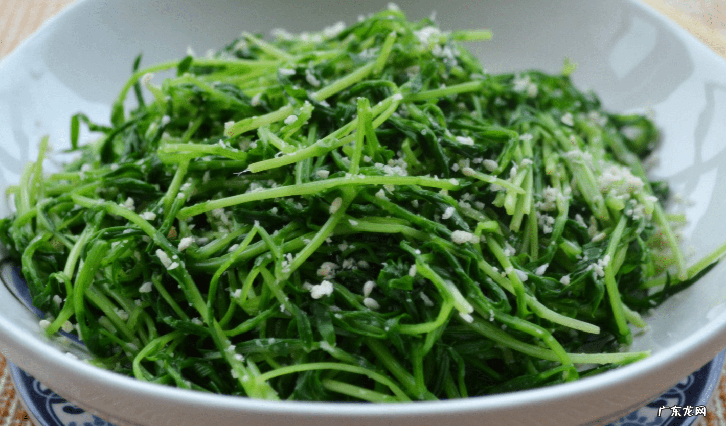 野豌豆苗的做法 豌豆苗的做法大全