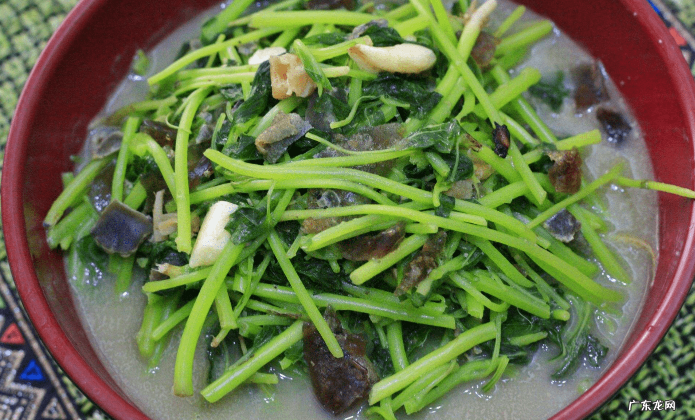 野豌豆苗的做法 豌豆苗的做法大全