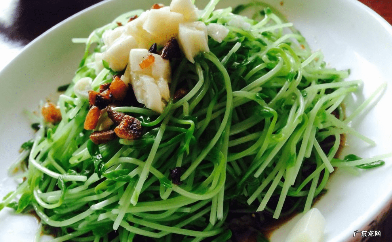 野豌豆苗的做法 豌豆苗的做法大全