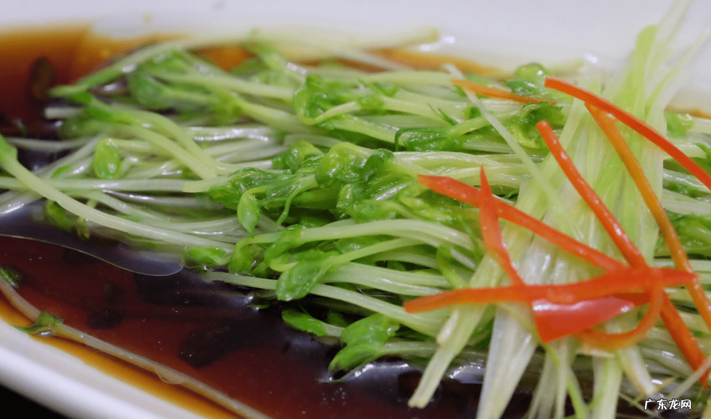 野豌豆苗的做法 豌豆苗的做法大全