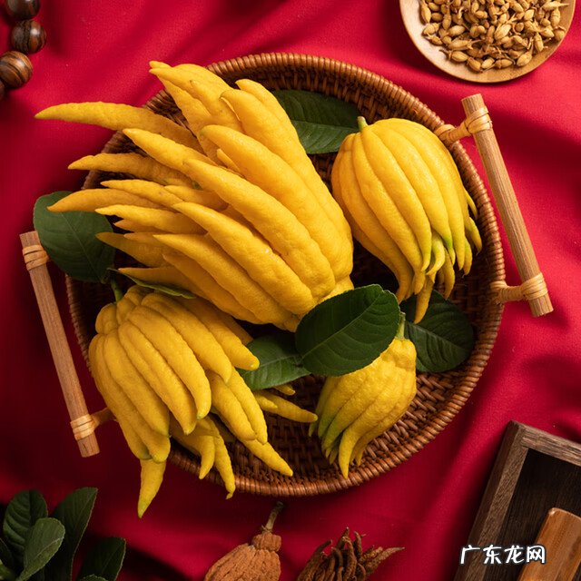 房屋种树风水 种什么树风水