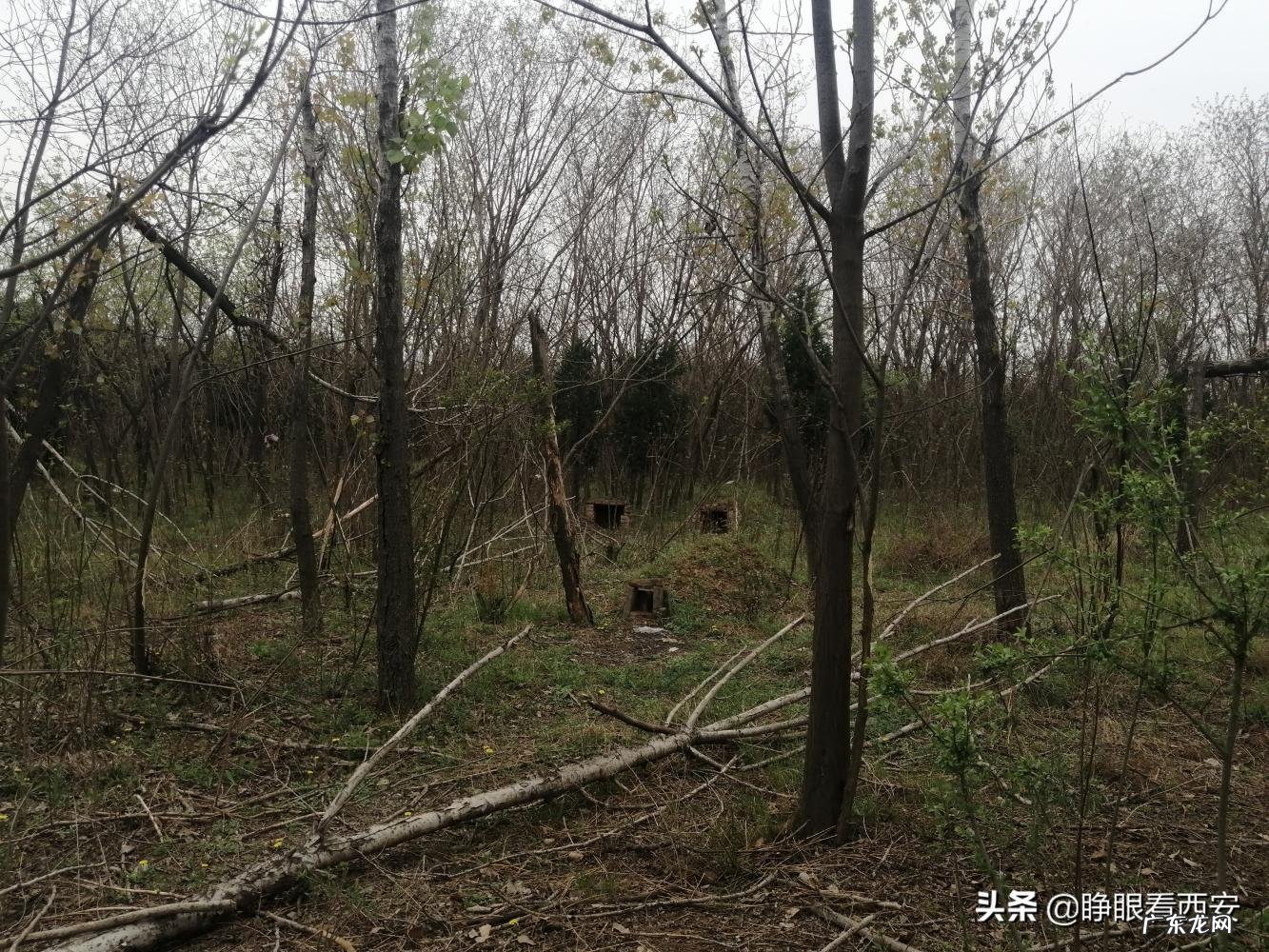 阿房宫遗址在哪里?有没有找到 阿房宫 遗址