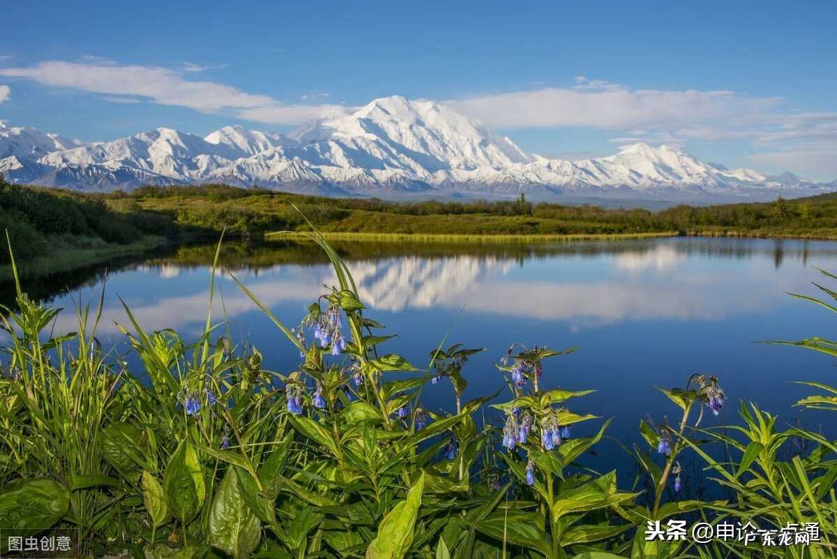 申论查 申论 评析