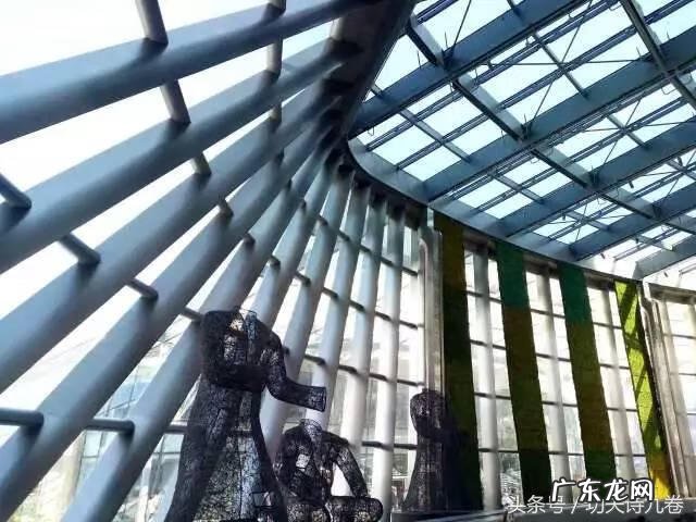 九卷书作者 九卷是什么