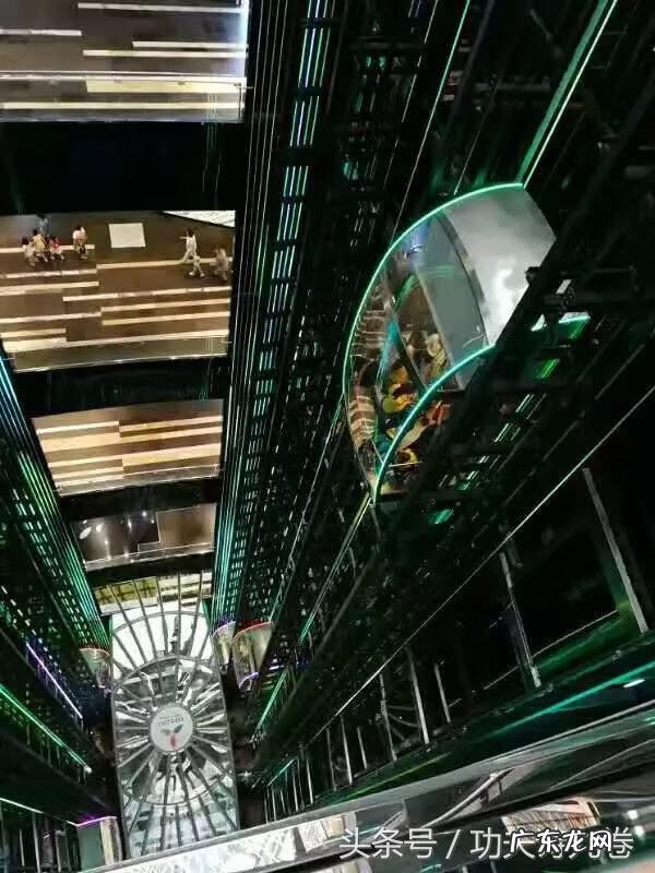 九卷书作者 九卷是什么