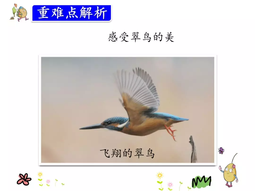 鹦怎么组词? 鹦组词组什么