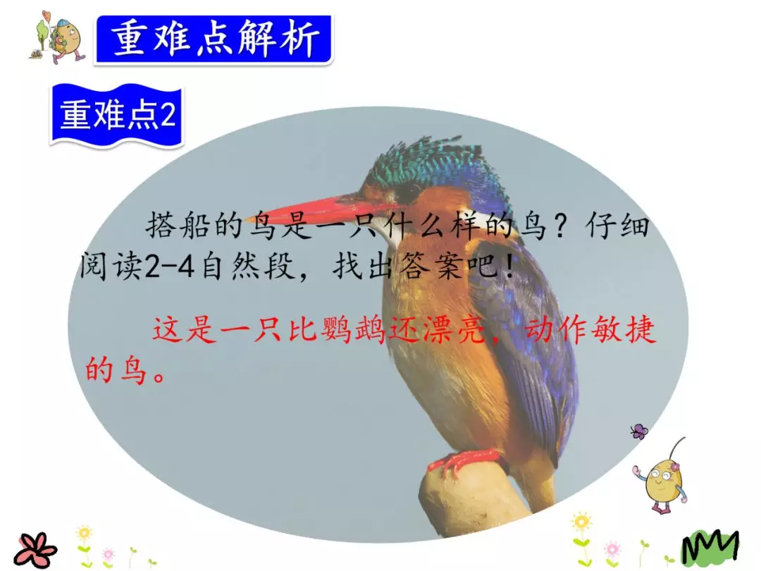 鹦怎么组词? 鹦组词组什么