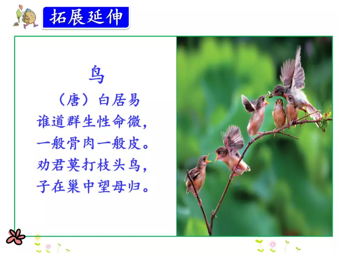 鹦怎么组词? 鹦组词组什么