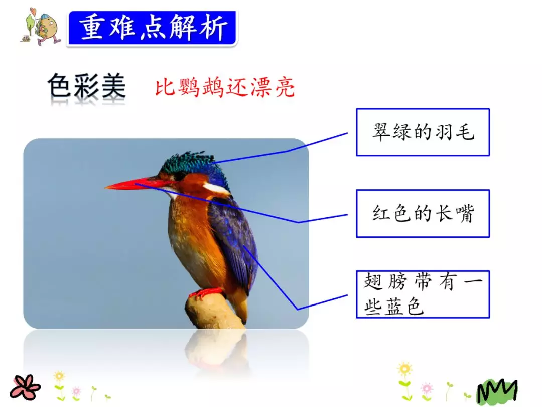 鹦怎么组词? 鹦组词组什么