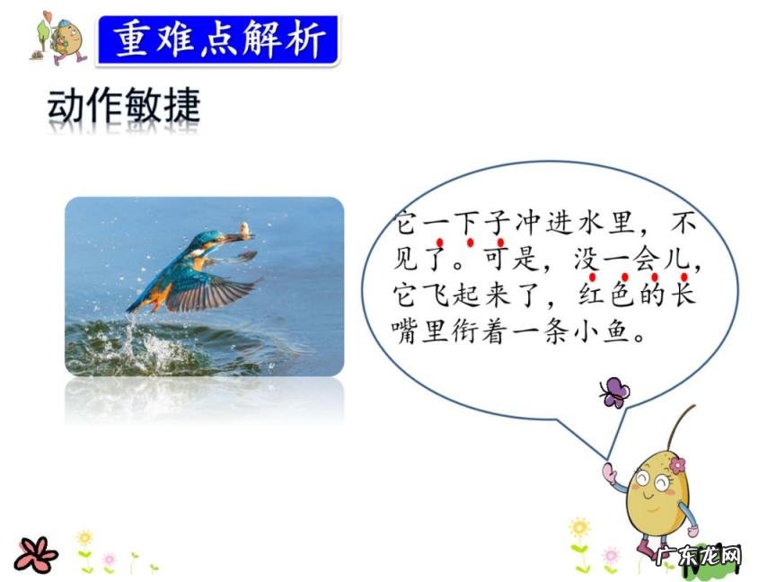 鹦怎么组词? 鹦组词组什么