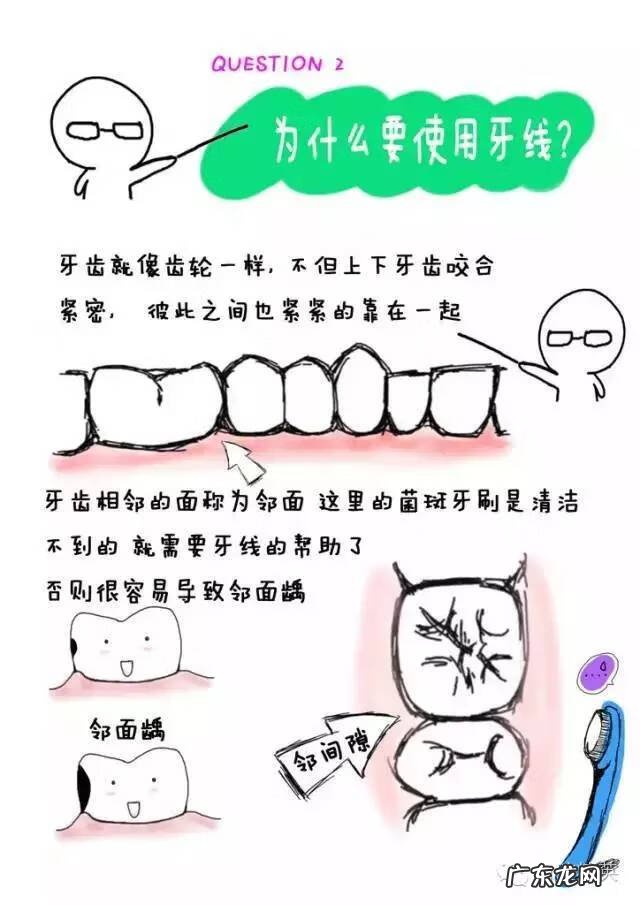 牙线的种类 什么叫牙线
