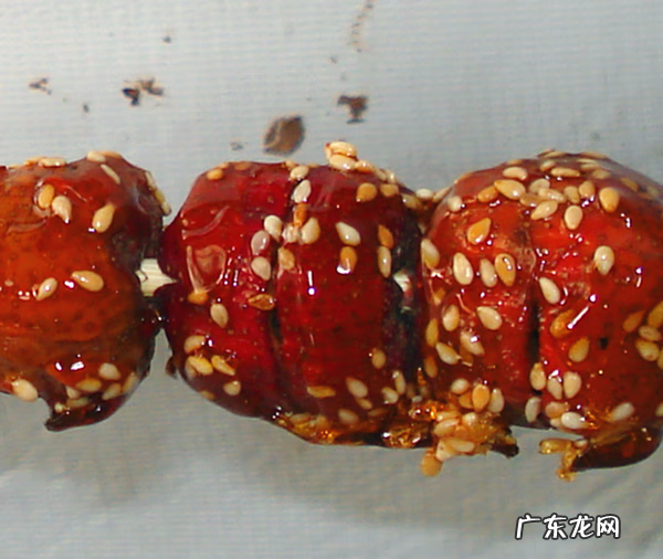 葫芦的摆放风水 冰糖葫芦里放明矾的作用