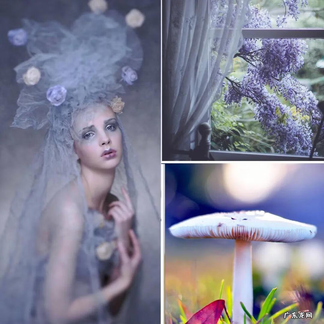 主卧窗帘紫色 紫色的房间配什么颜色的窗帘