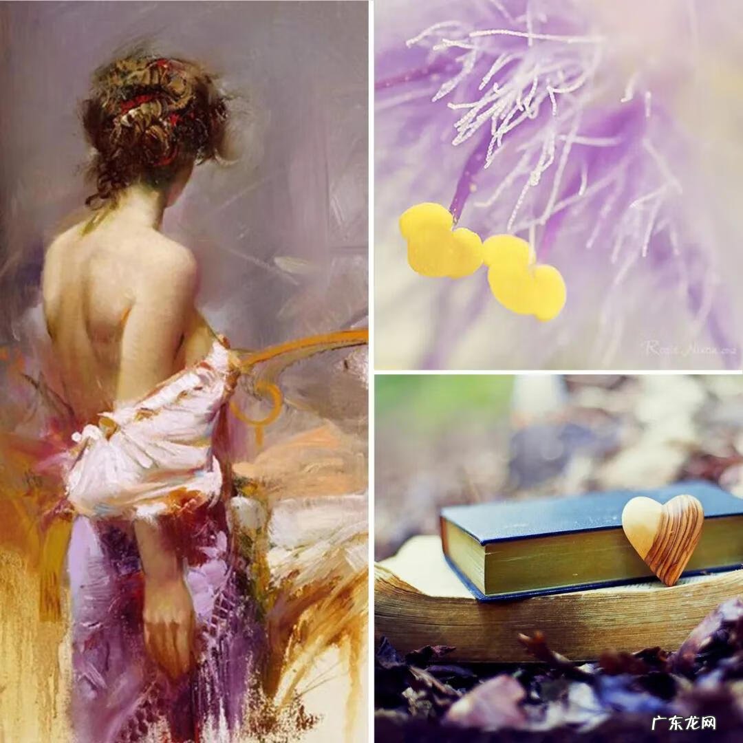 主卧窗帘紫色 紫色的房间配什么颜色的窗帘