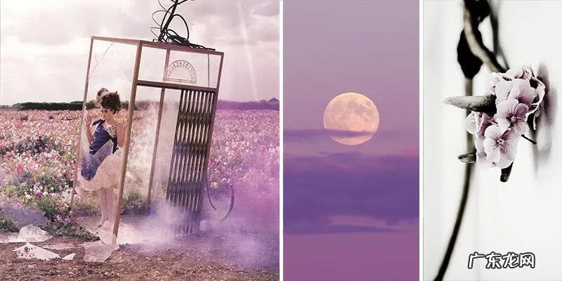 主卧窗帘紫色 紫色的房间配什么颜色的窗帘