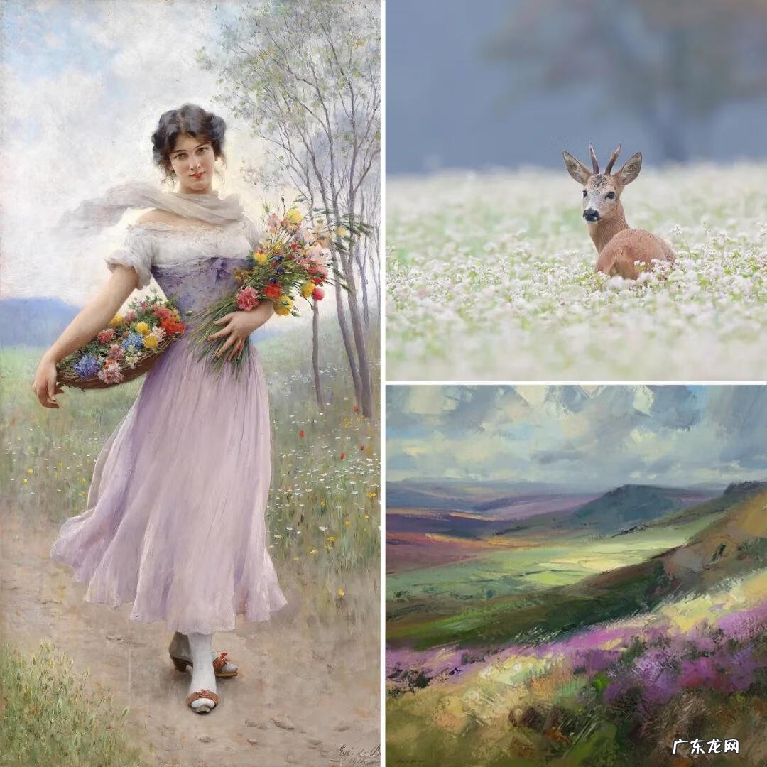 主卧窗帘紫色 紫色的房间配什么颜色的窗帘