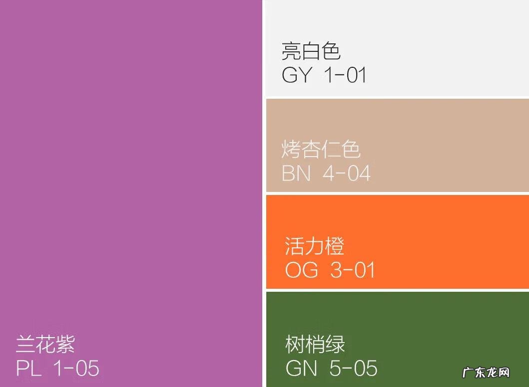 主卧窗帘紫色 紫色的房间配什么颜色的窗帘