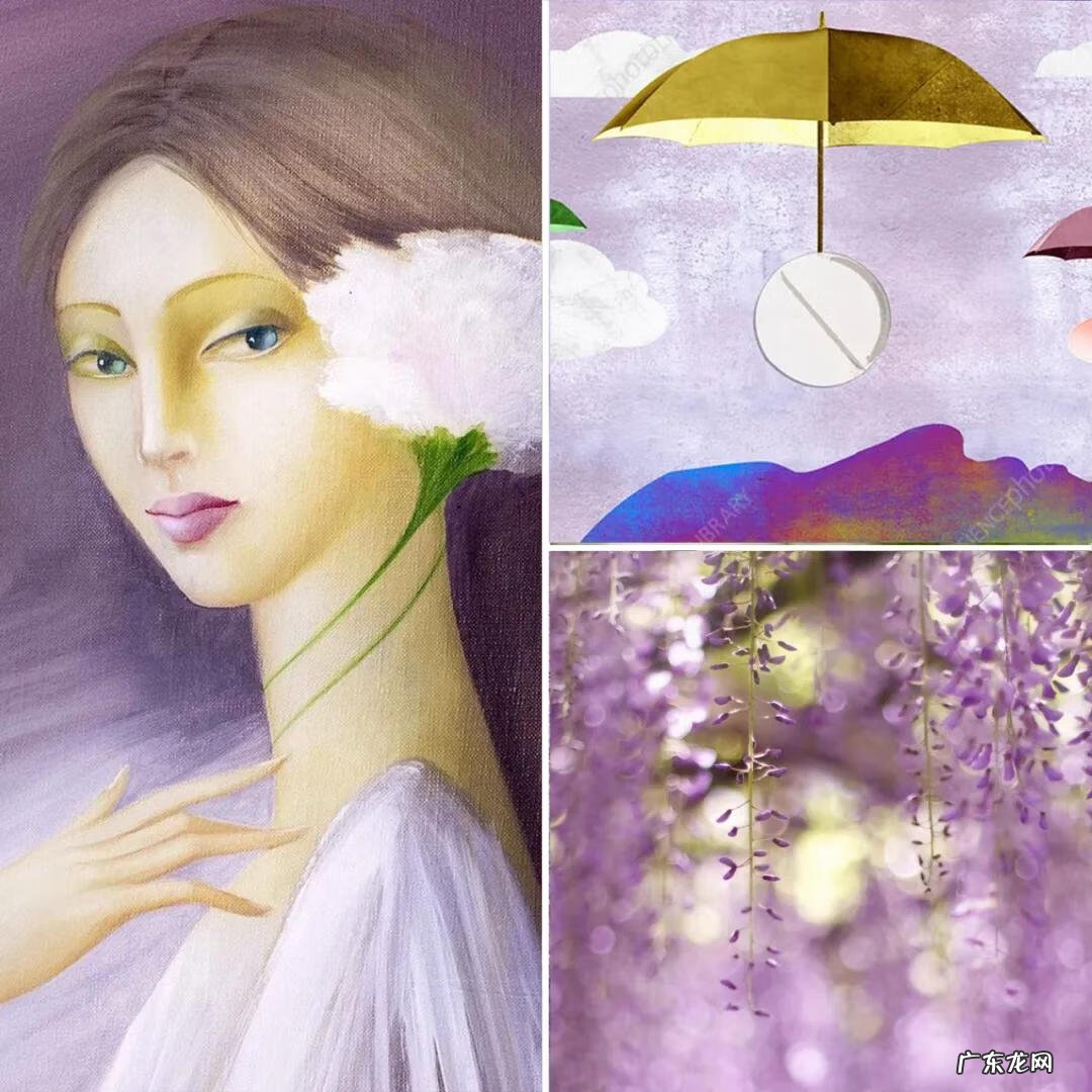 主卧窗帘紫色 紫色的房间配什么颜色的窗帘